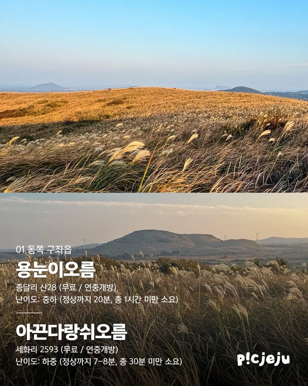 제주 동서로 찢은 억새 맛집 12곳 대공개! 이미지 2