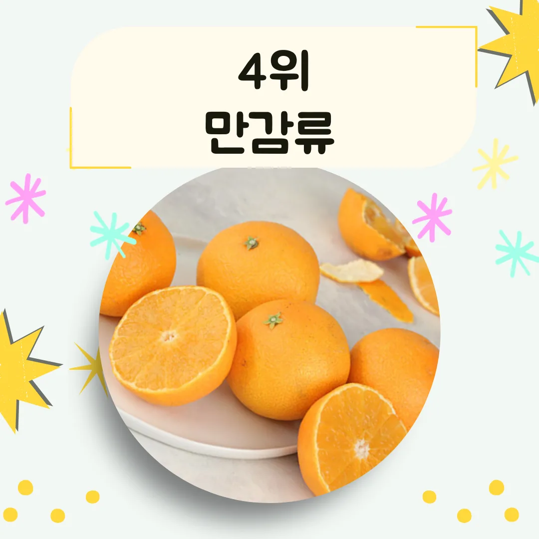제주씨PICK 제주 최애 맛집 BEST 5 _ 제주기념품 이미지 4