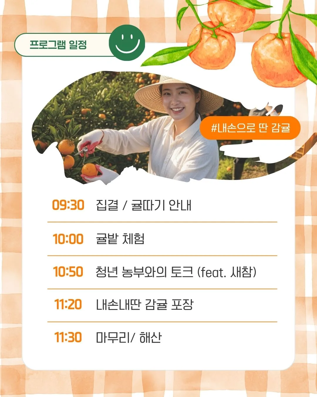 제주는 청년이제철 5탄_겨울엔 귤따기! 이미지 4