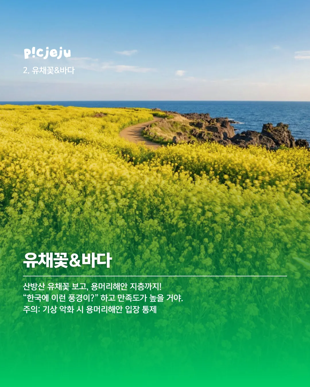 외국인 친구 제주여행 추천 코스(2월 ver.) 이미지 2