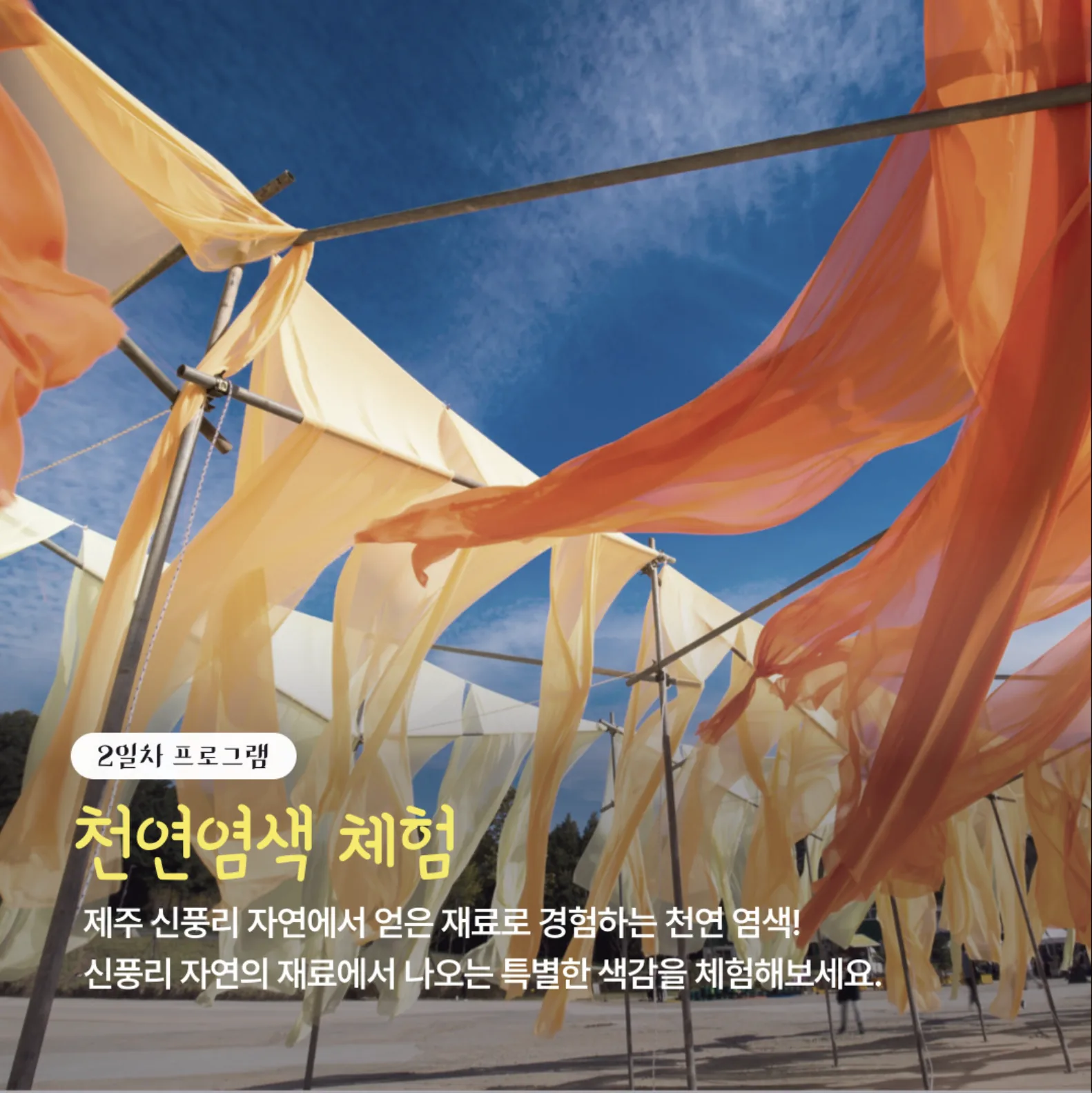 시골에서 휴가중! 신풍리 추억여행 이미지 6