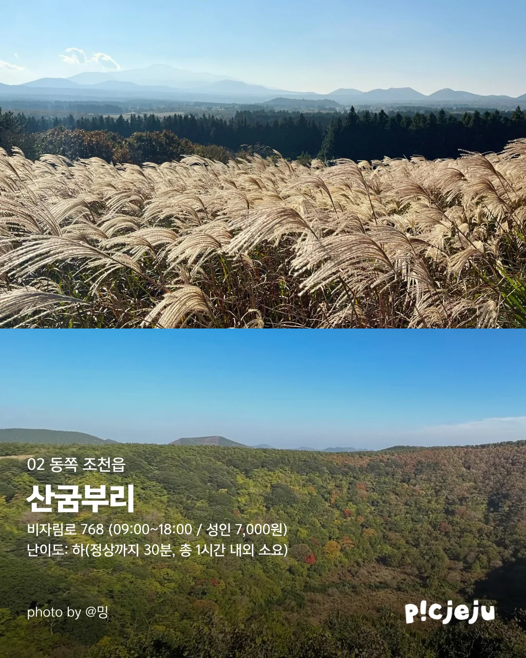 제주 동서로 찢은 억새 맛집 12곳 대공개! 이미지 5