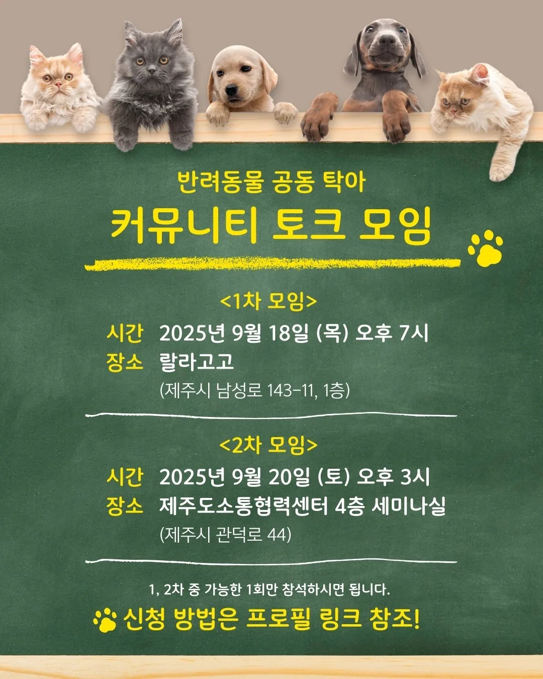 반려동물 공동 탁아, 함께 이야기해봐요! 이미지 3