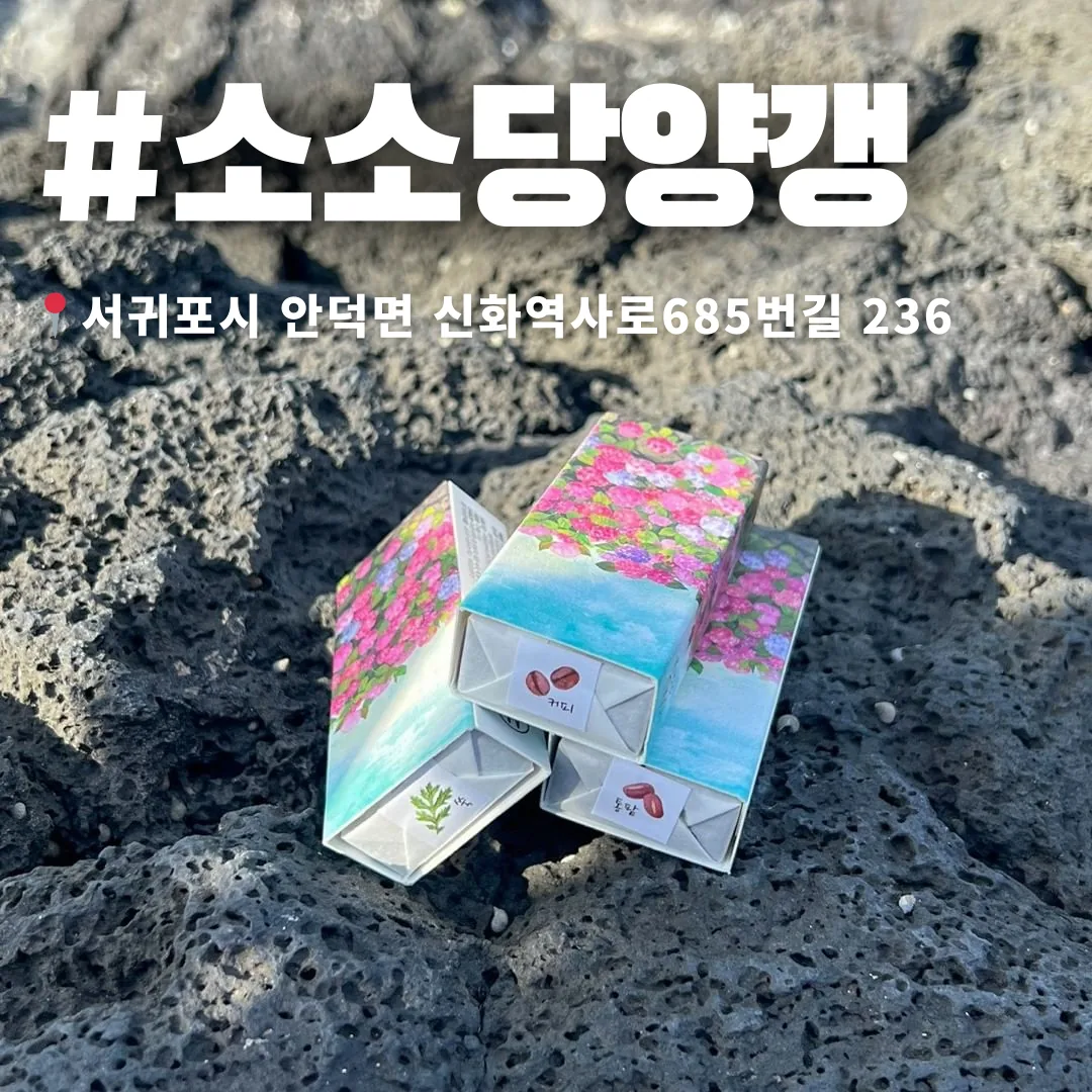 🌰 달디달고 달디단 밤양갱... 이 아닌 제주양갱 스페셜! 🌰 이미지 1
