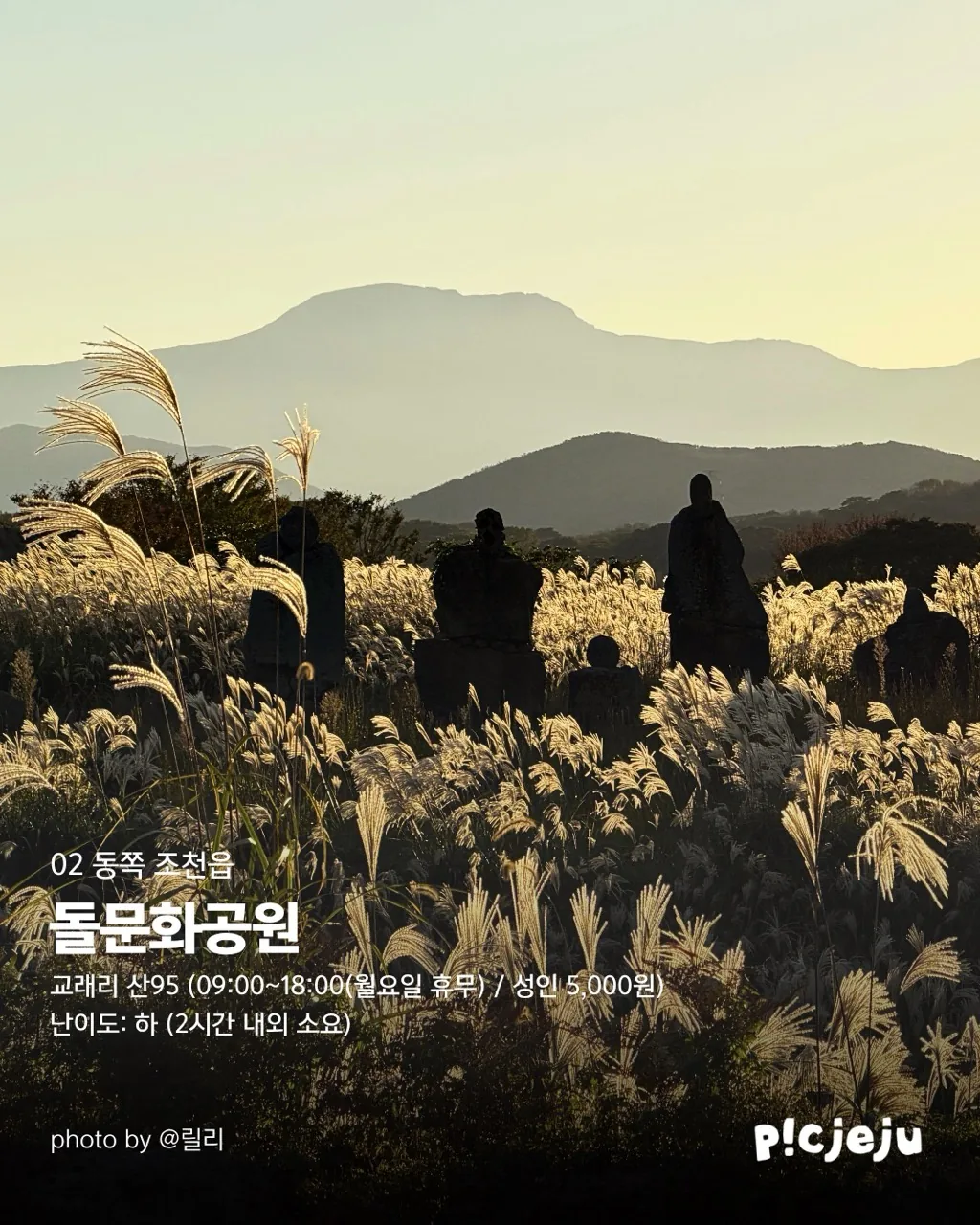 제주 동서로 찢은 억새 맛집 12곳 대공개! 이미지 3