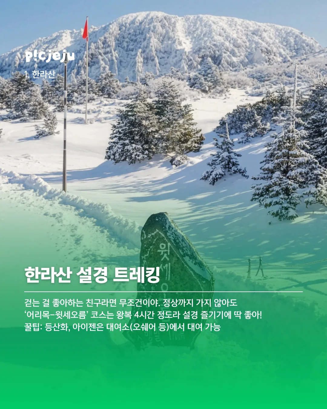 외국인 친구 제주여행 추천 코스(2월 ver.) 이미지 1