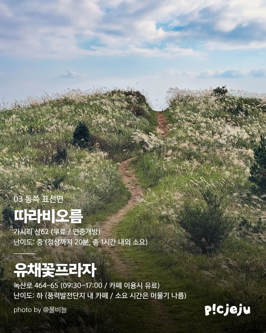 제주 동서로 찢은 억새 맛집 12곳 대공개! 이미지 6