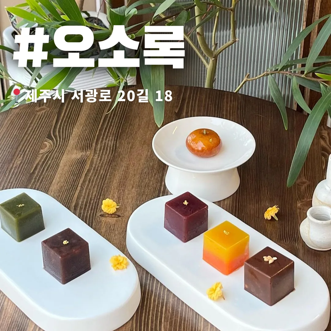 🌰 달디달고 달디단 밤양갱... 이 아닌 제주양갱 스페셜! 🌰 이미지 2