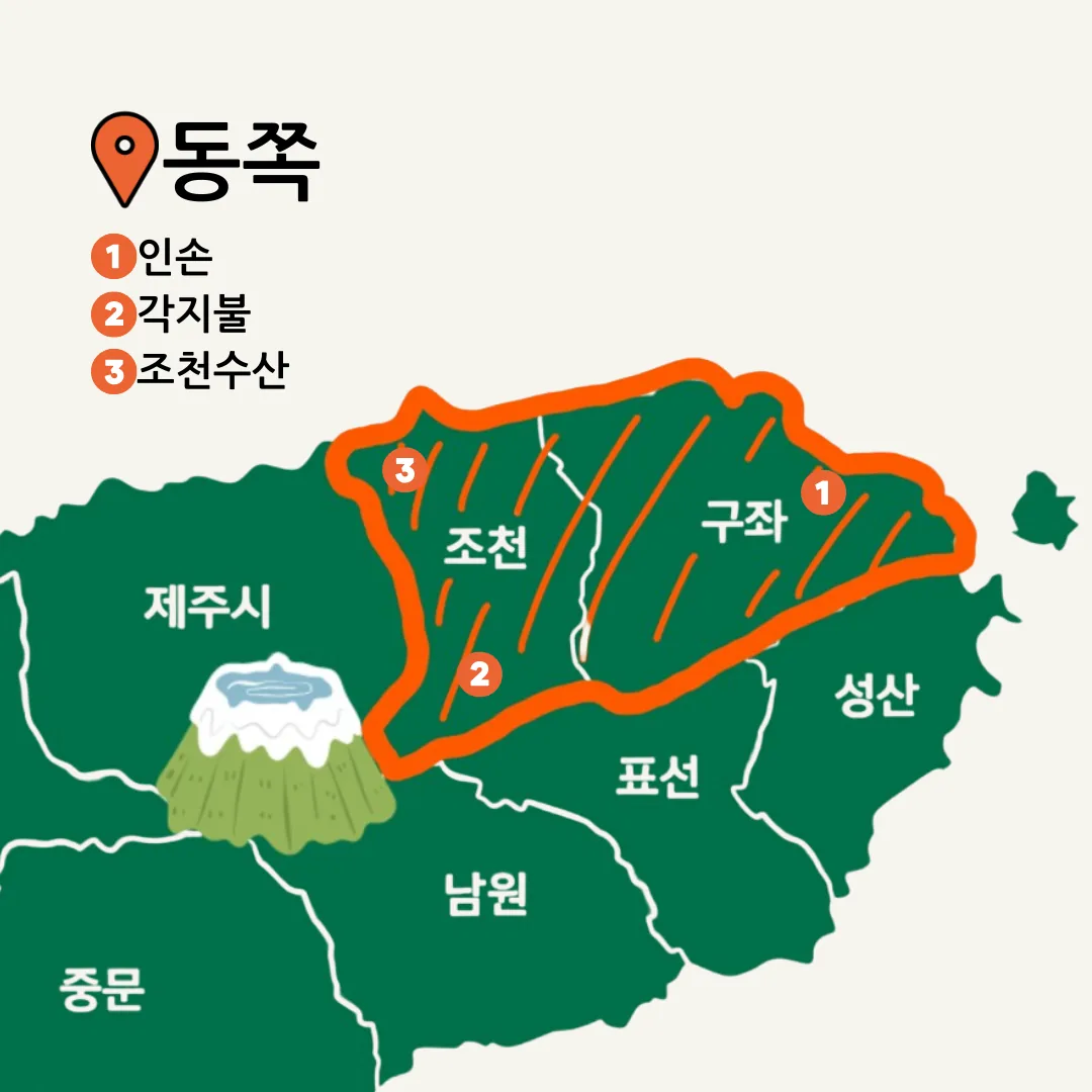 1분만에 호로록 보는 픽제주 맛집지도 with 픽제주 맛잘알 위원회 [바다 음식편🐟] 이미지 4