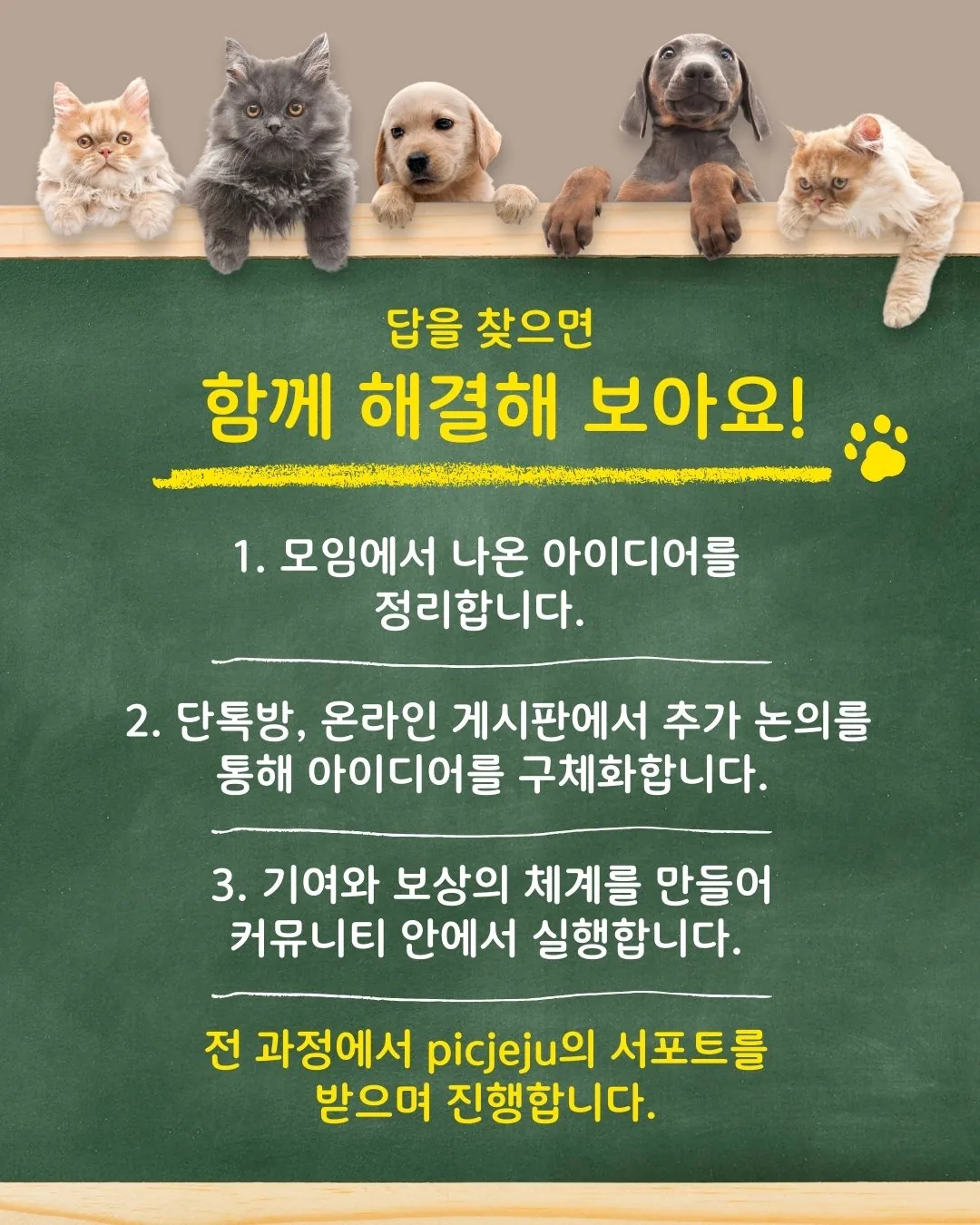 반려동물 공동 탁아, 함께 이야기해봐요! 이미지 2