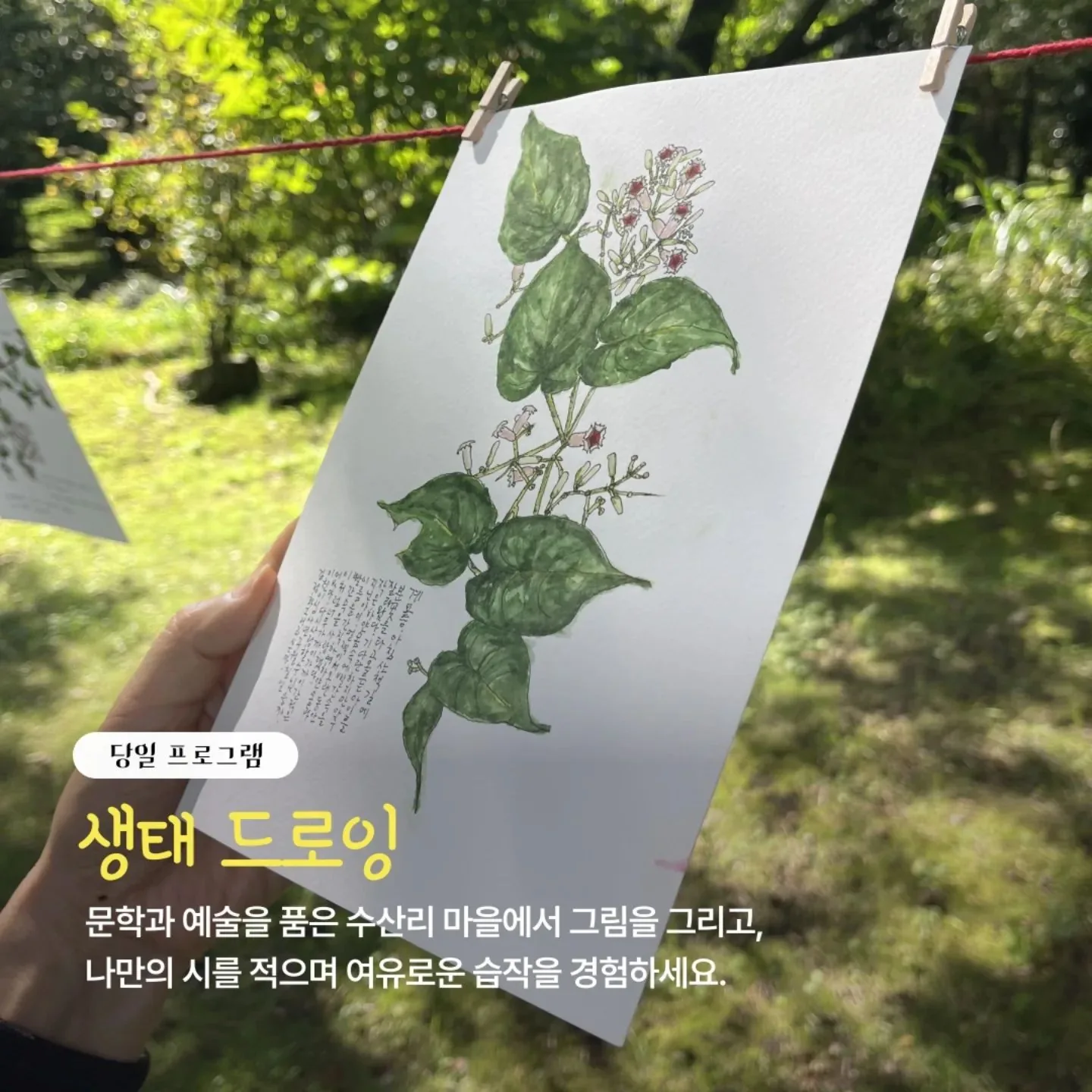 농촌 시그널 수산리 마을 체험 이미지 3