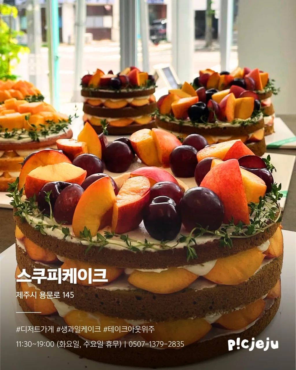 제주 케이크집 보물 지도 이미지 8