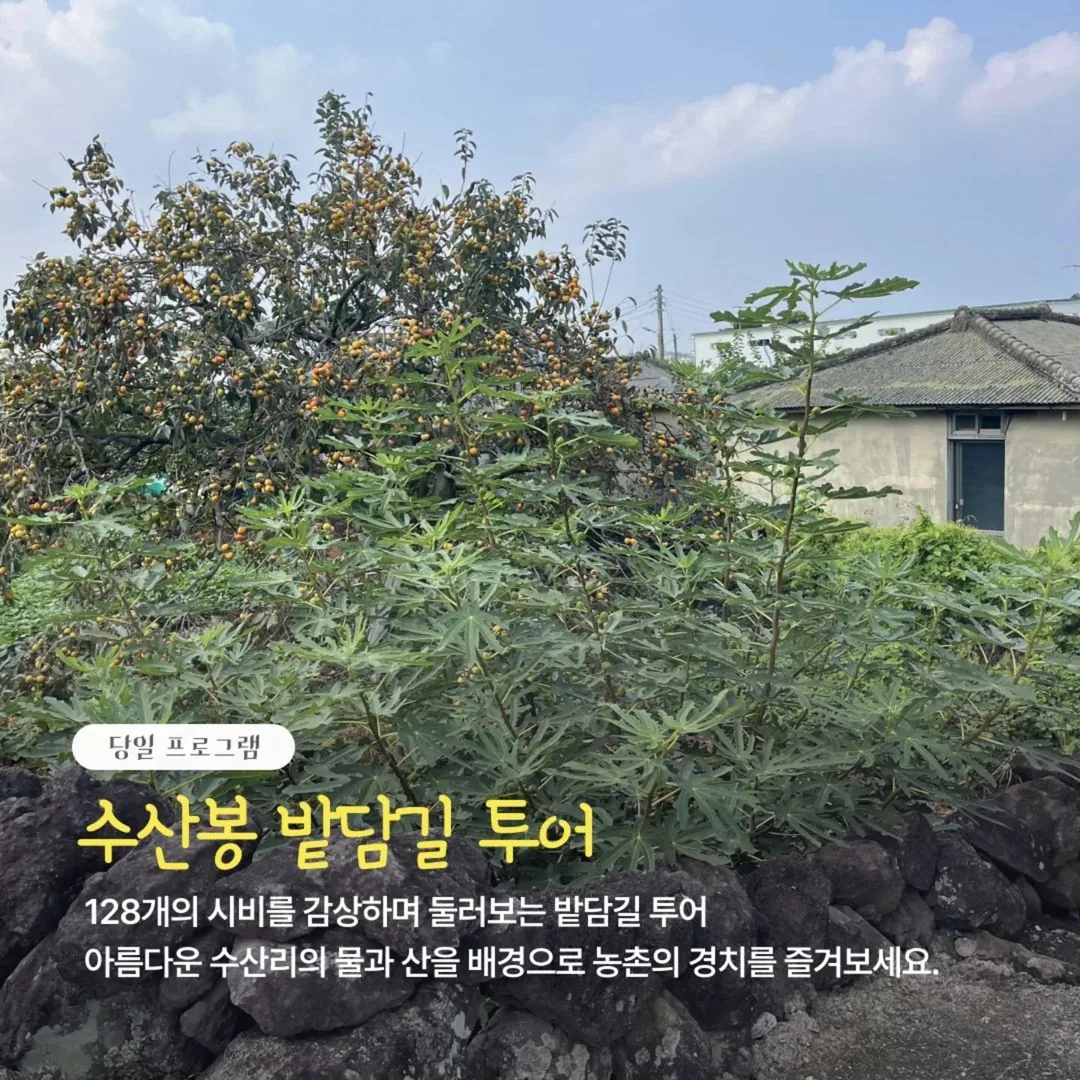 농촌 시그널 수산리 마을 체험 이미지 1