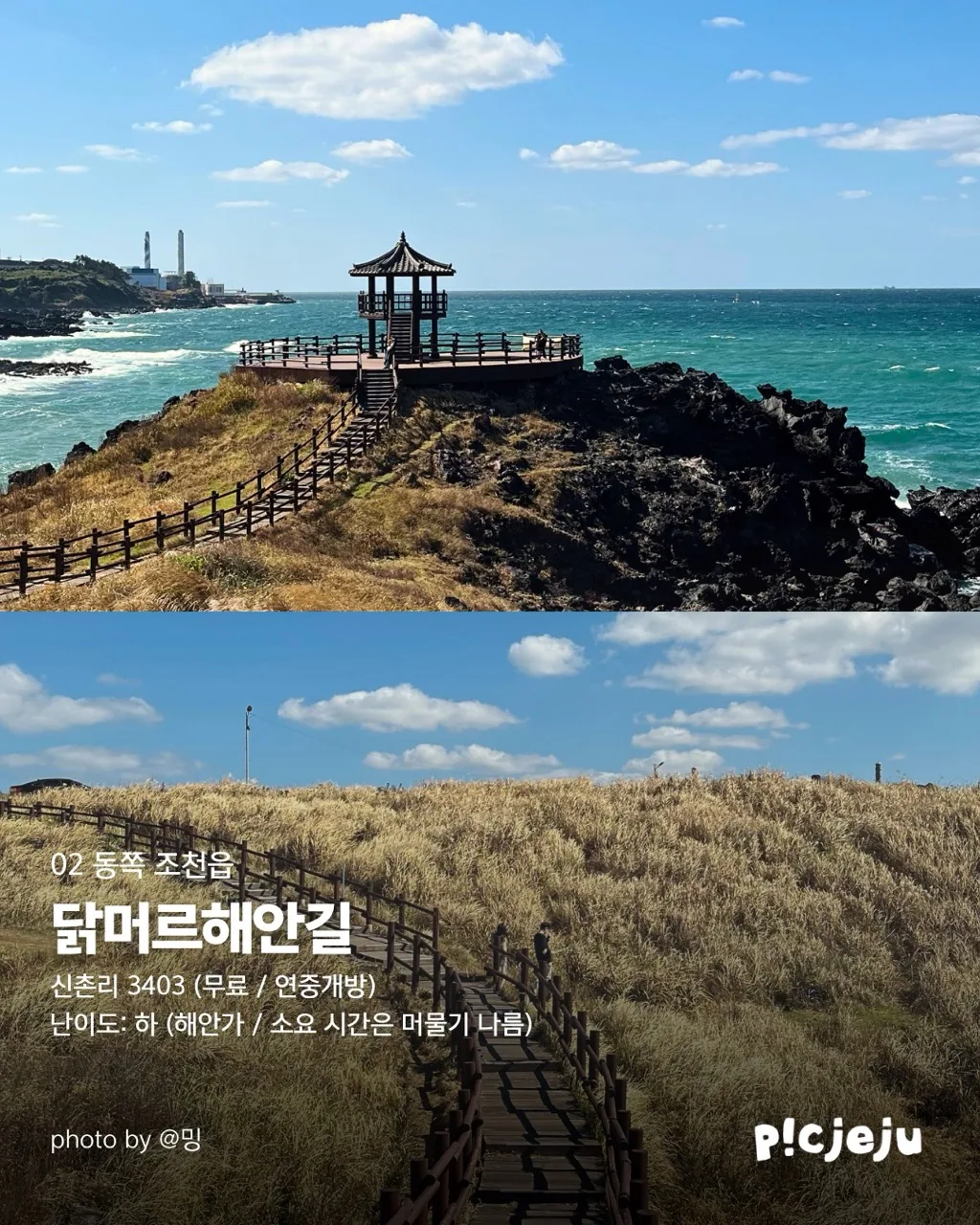 제주 동서로 찢은 억새 맛집 12곳 대공개! 이미지 4