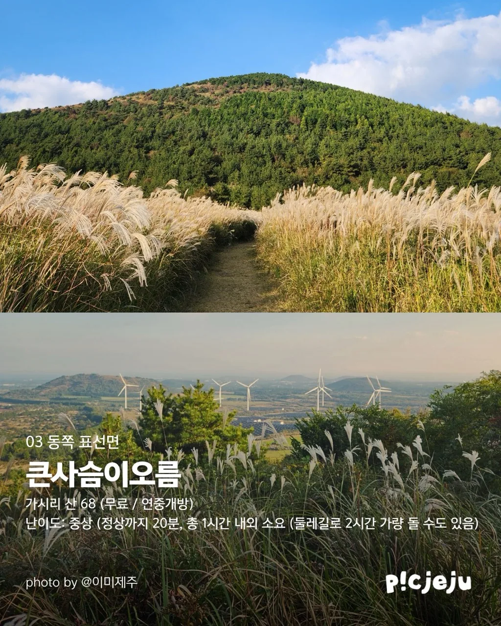 제주 동서로 찢은 억새 맛집 12곳 대공개! 이미지 7