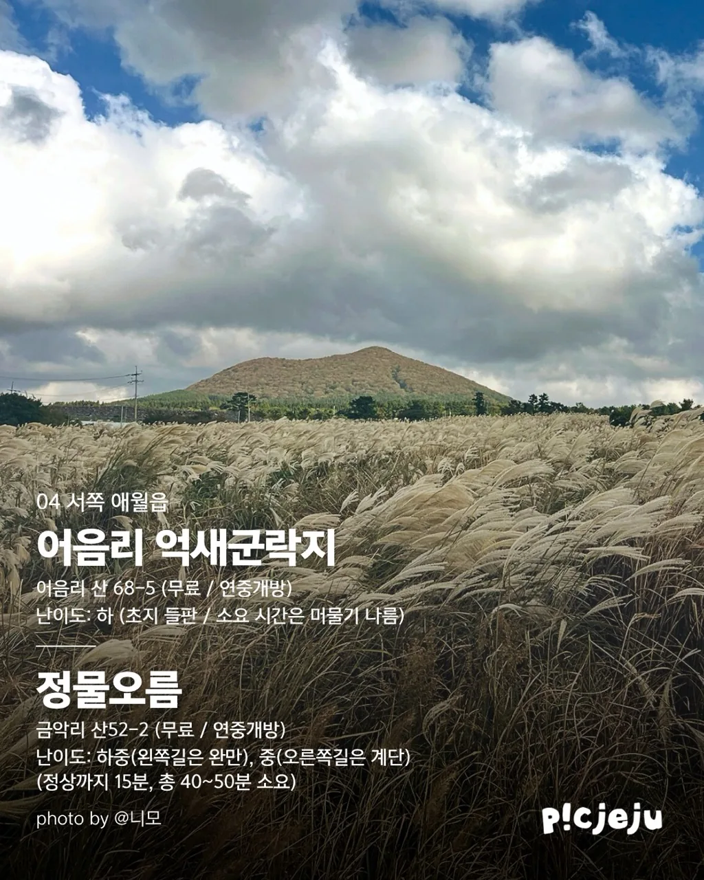 제주 동서로 찢은 억새 맛집 12곳 대공개! 이미지 10