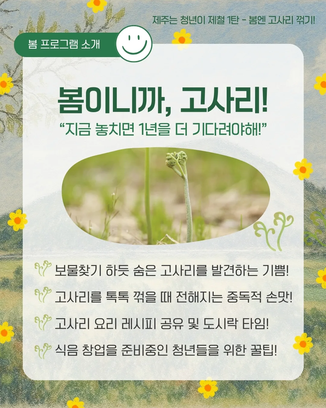 제주는청년이제철 1탄 <봄엔, 고사리 꺾기!> 이미지 2