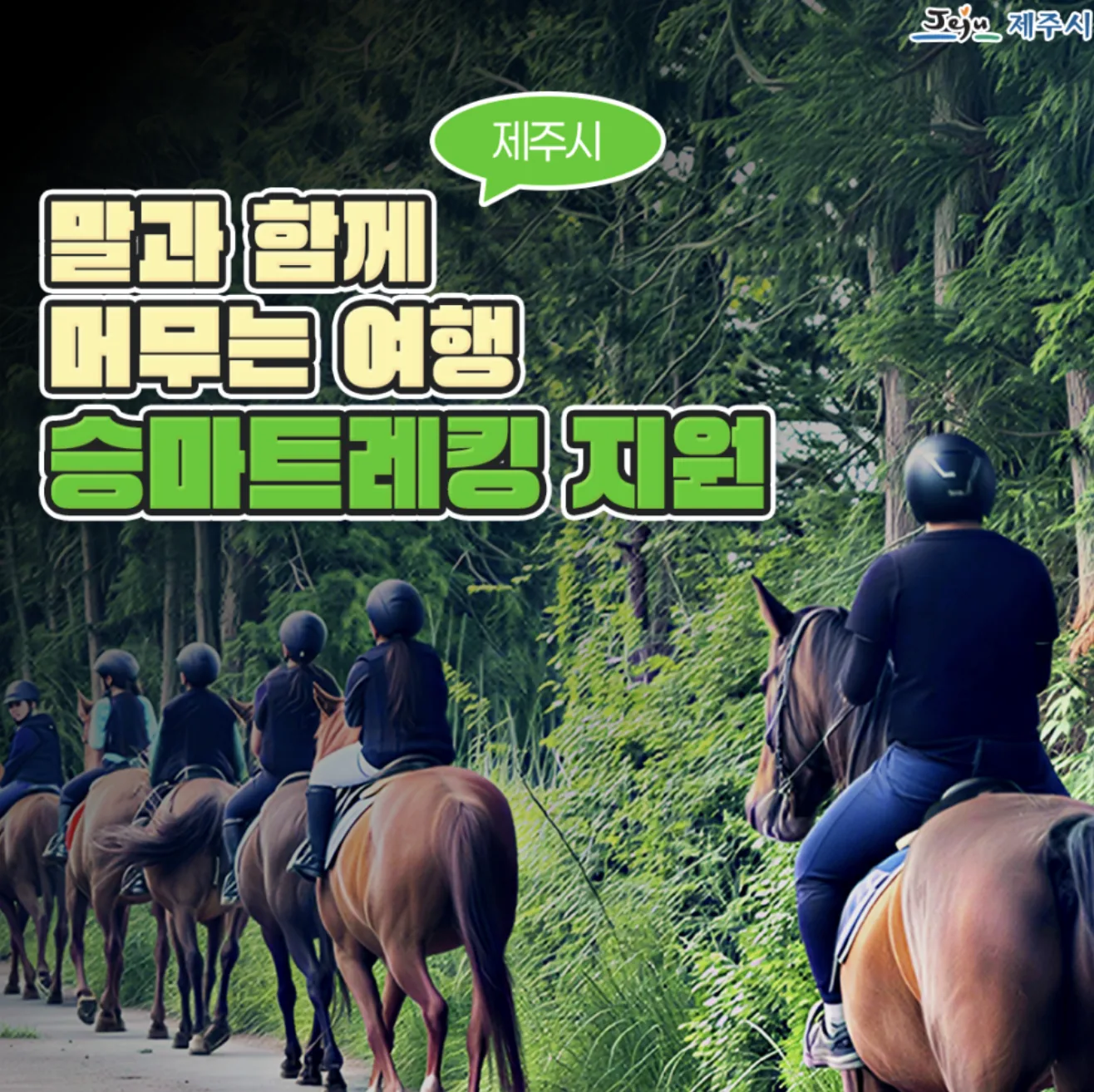 스크린샷 2026-08-21 오전 11.30.14.png