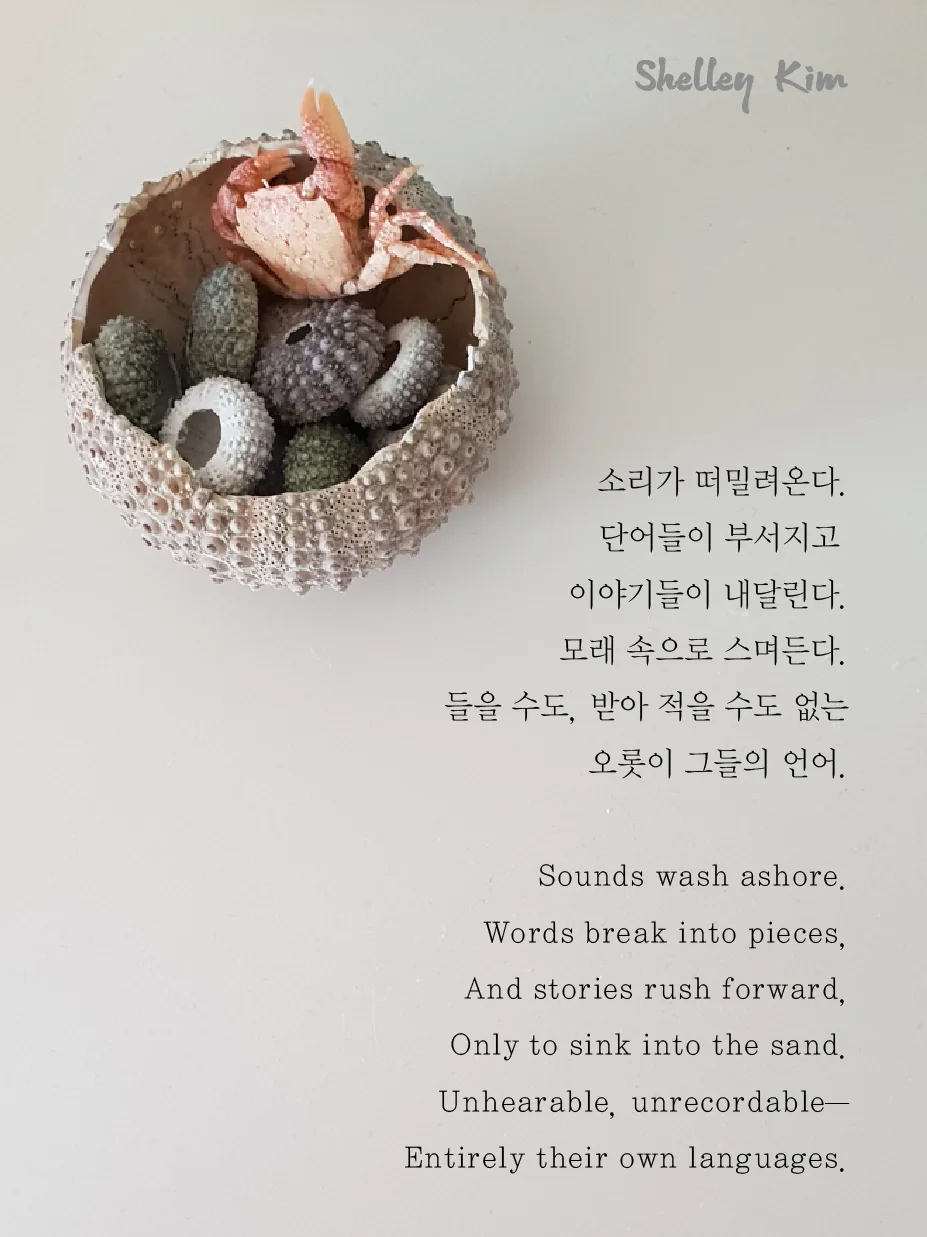 쉘리김 인스타홍보물-11.jpg