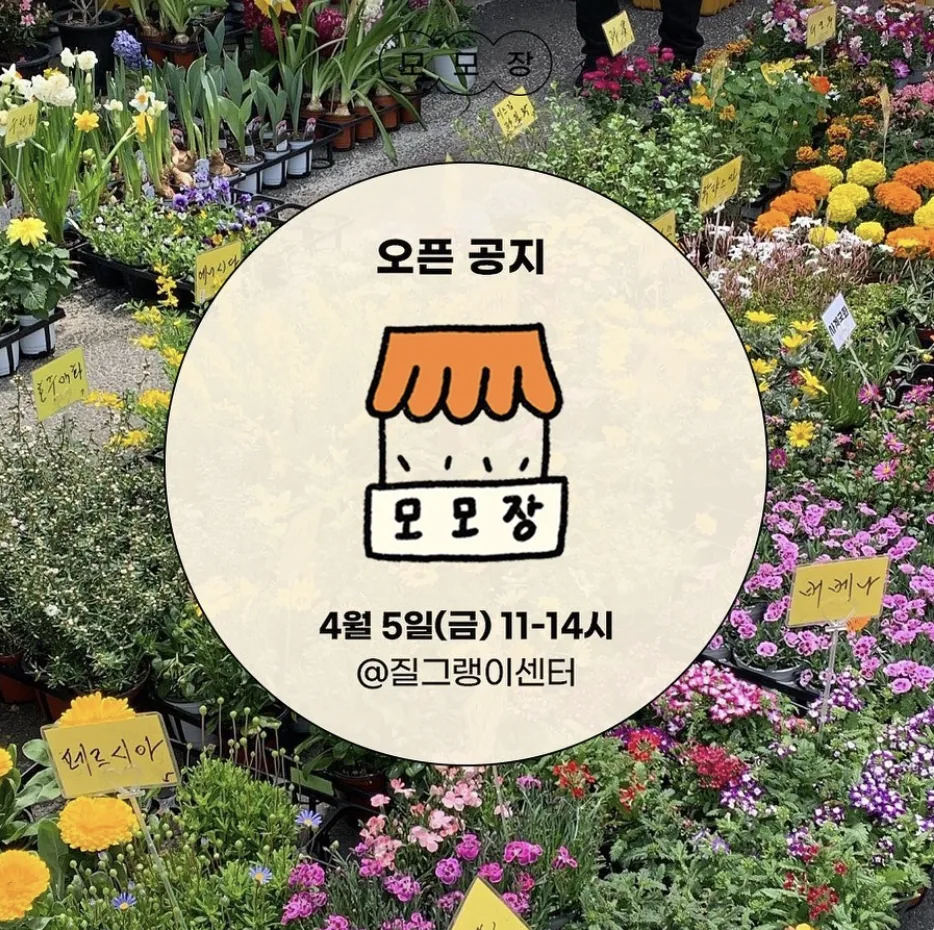 구좌로 모모장