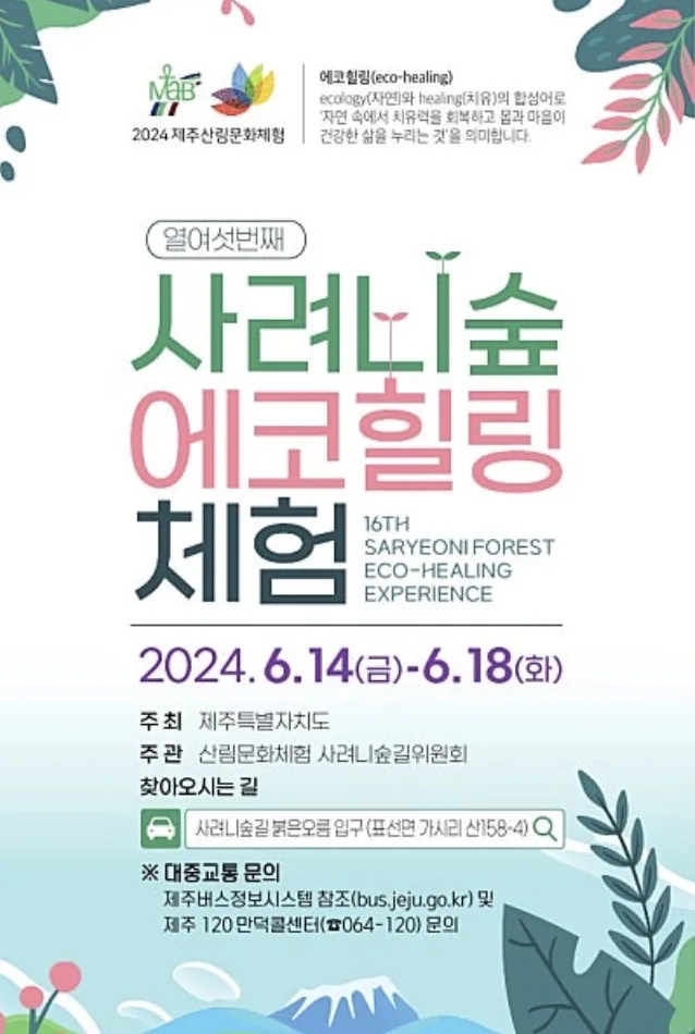 사려니숲길 에코힐링 체험