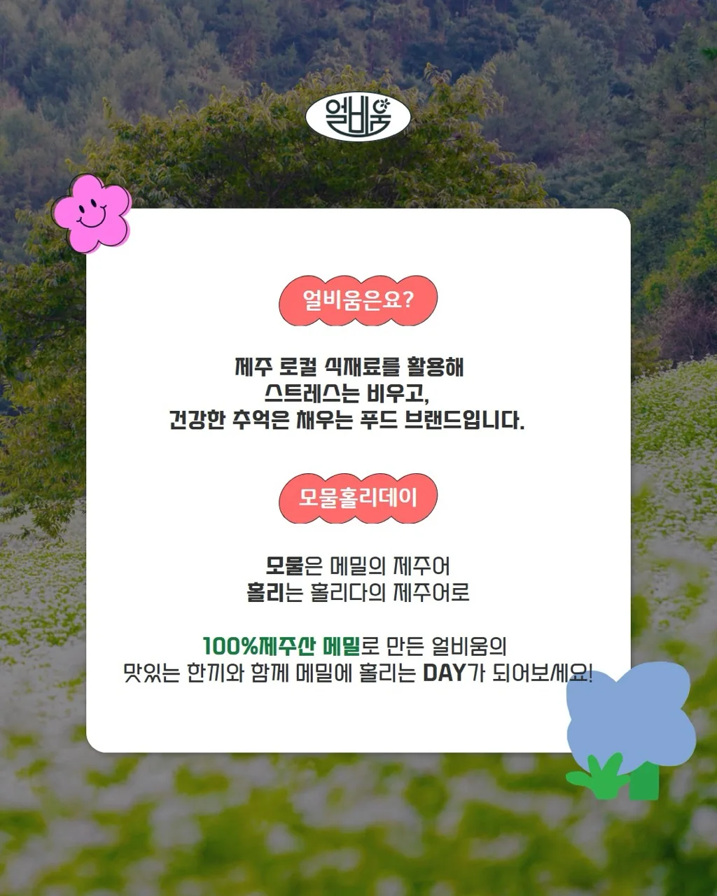 제주로컬푸드 얼비움 팝업스토어 <모물홀리데이> 이미지 4