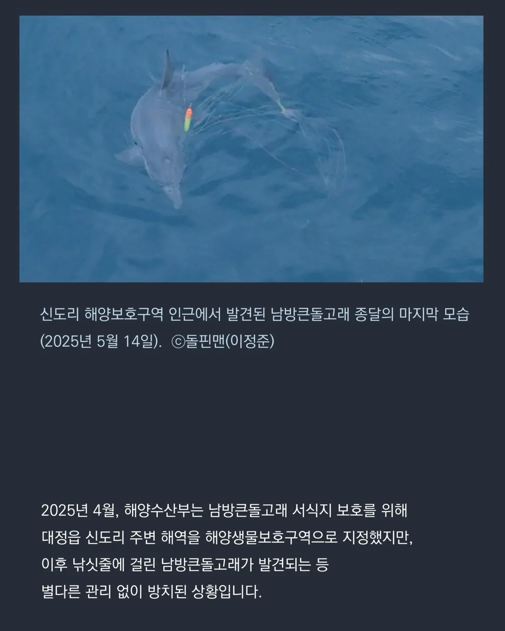 제주 남방큰돌고래 서식지 보호를 위한 토론회 이미지 3