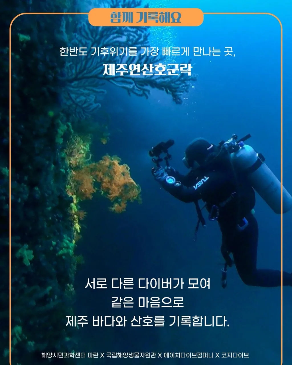 [제주 다이빙] 2026년 3월 산호탐사대 모집 이미지 2