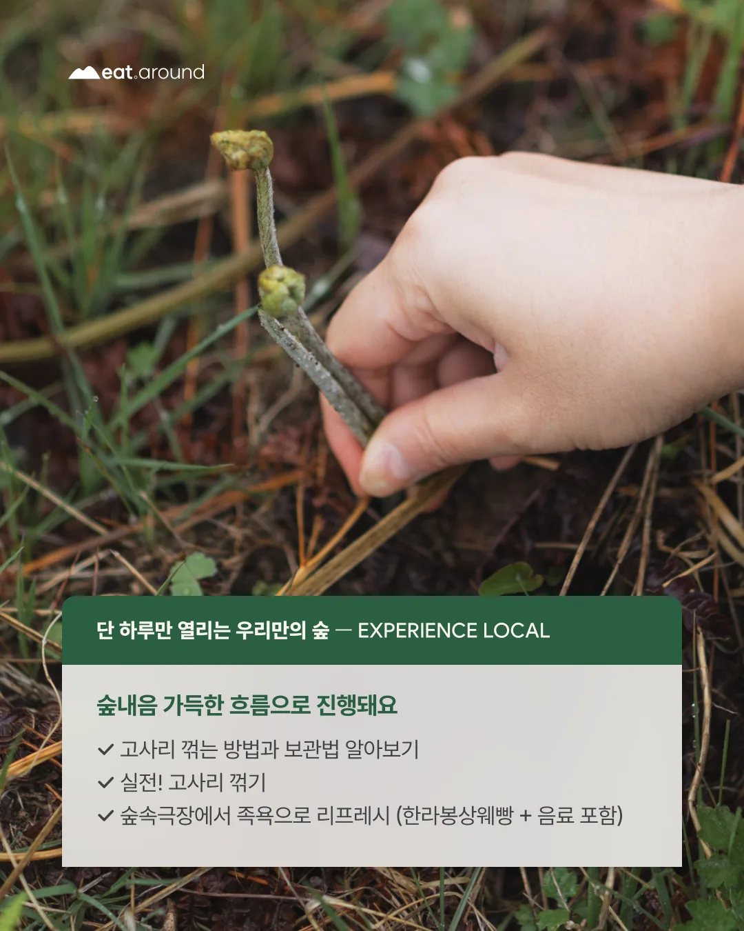 제철산책 | 고사리 꺾는 날! 이미지 5