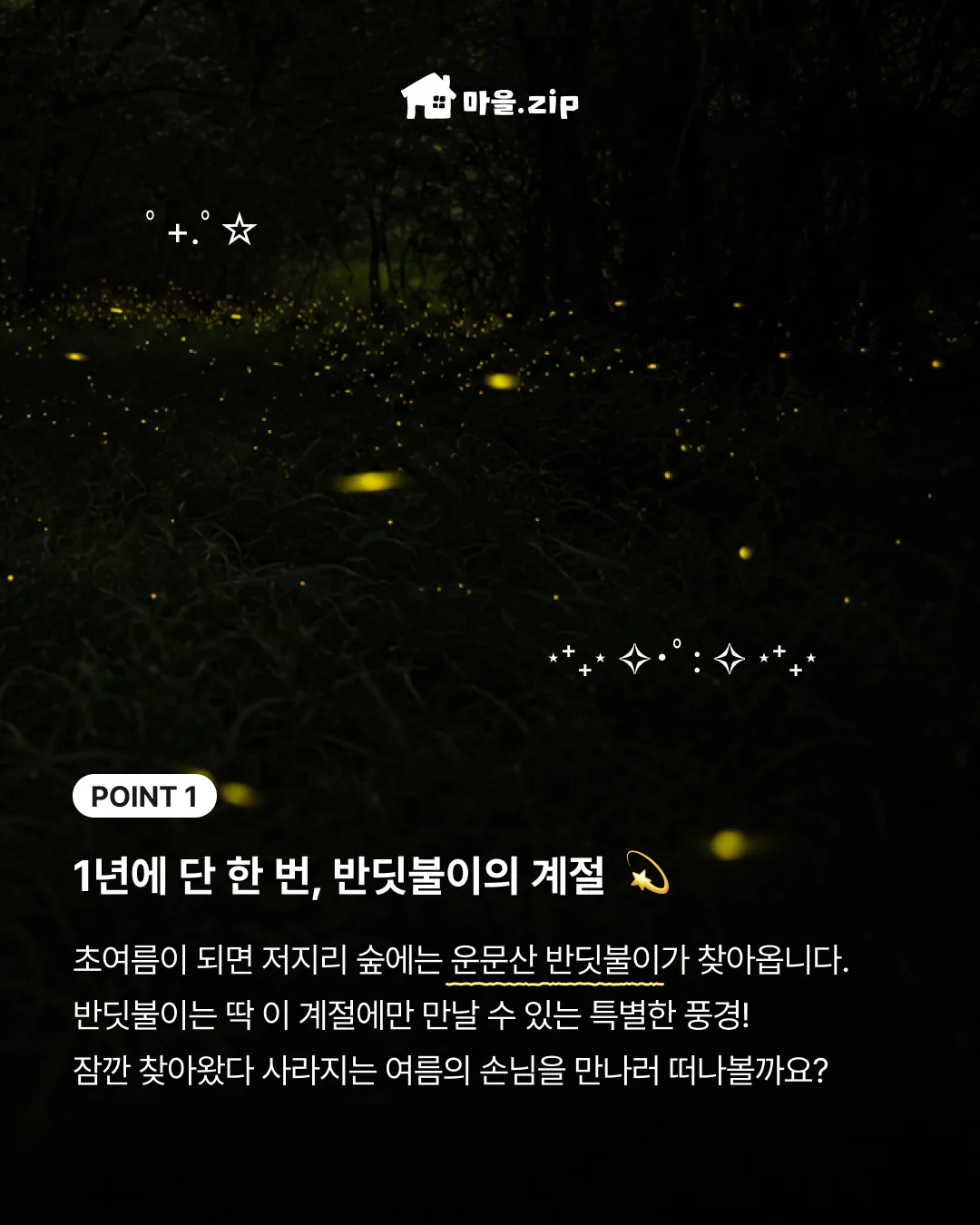 저지리 반딧불이 탐험대 이미지 4