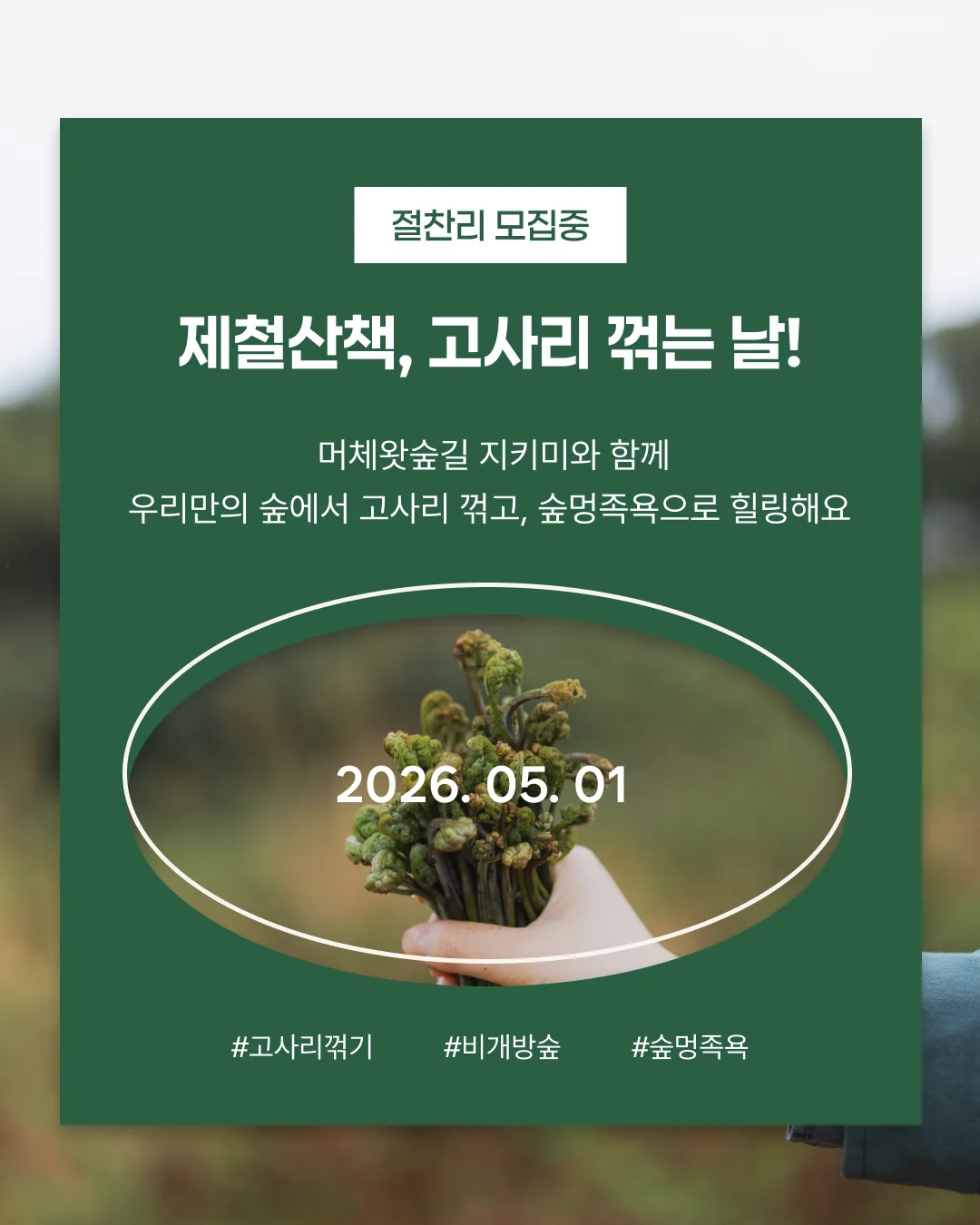 제철산책 | 고사리 꺾는 날!