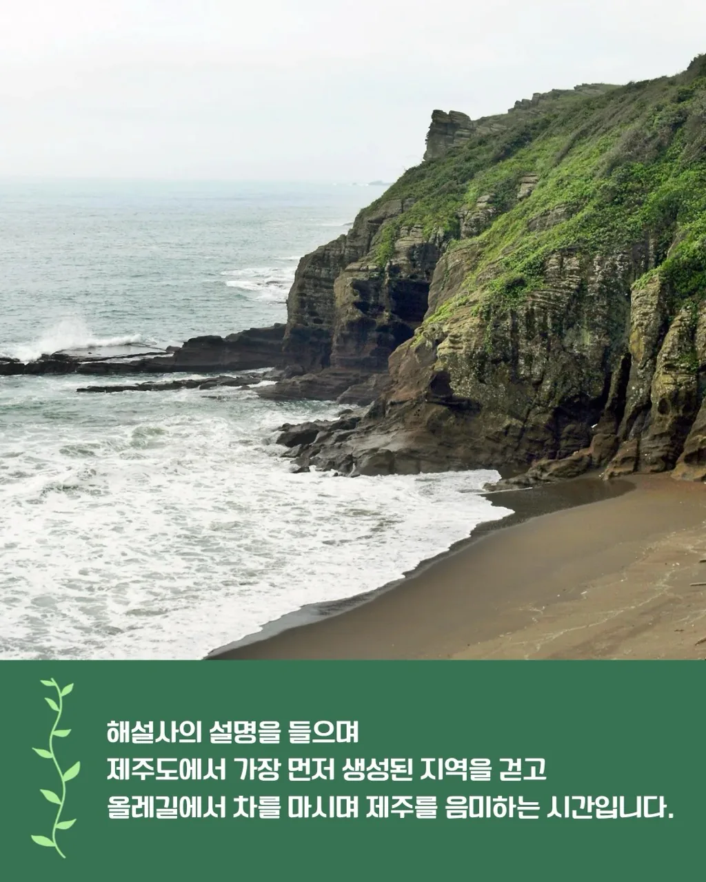 [초록길벗] 제주 해설 여행 <제주 한 잔 하러 올레?!> 이미지 3