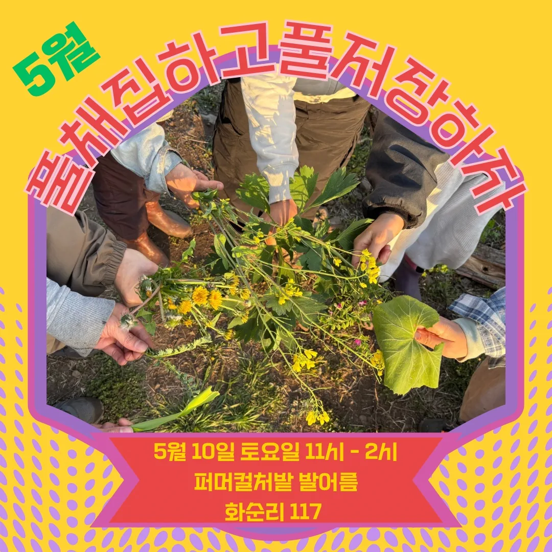 <어쩌다 풀생활 5월> 풀채집하고 풀저장하자 이미지 1