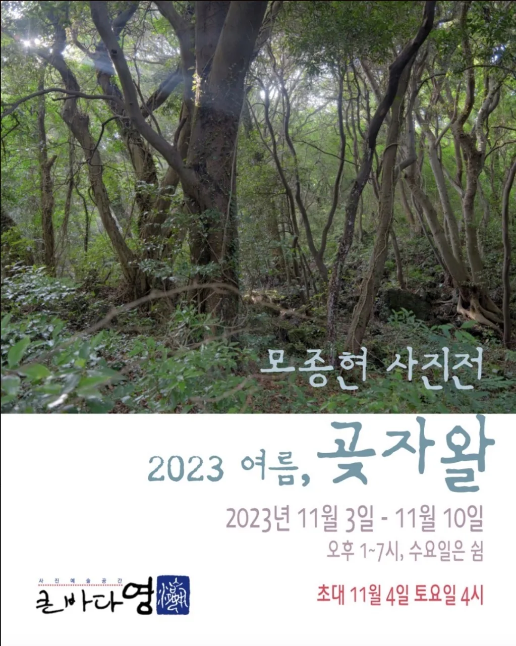모종현 사진전 <2023 여름, 곶자왈>