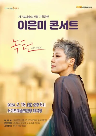 영원한 국민 DIVA! <이은미 콘서트>
