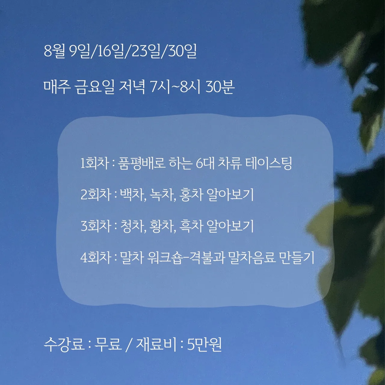 차마시는 금요일 이미지 2