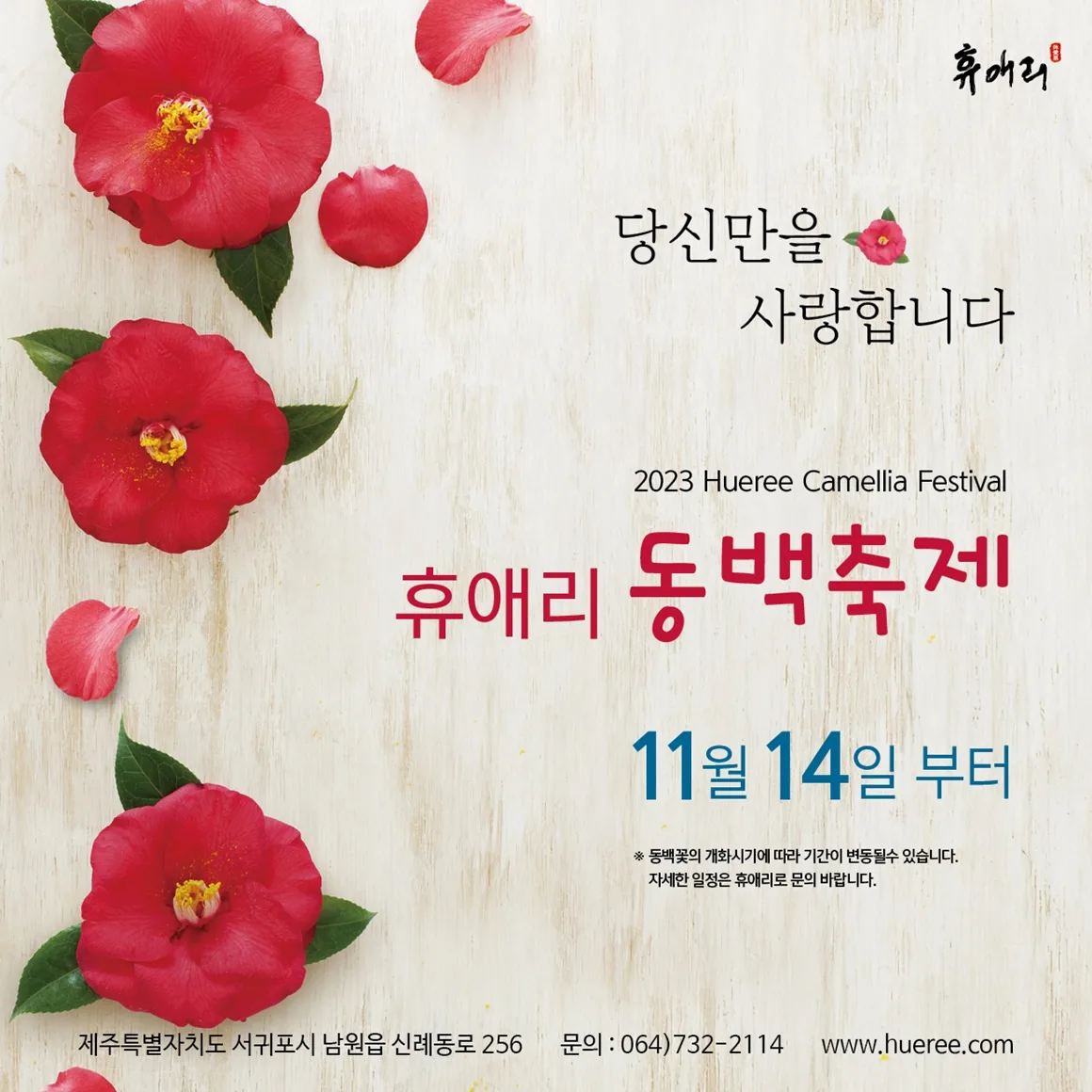 휴애리 <동백축제>