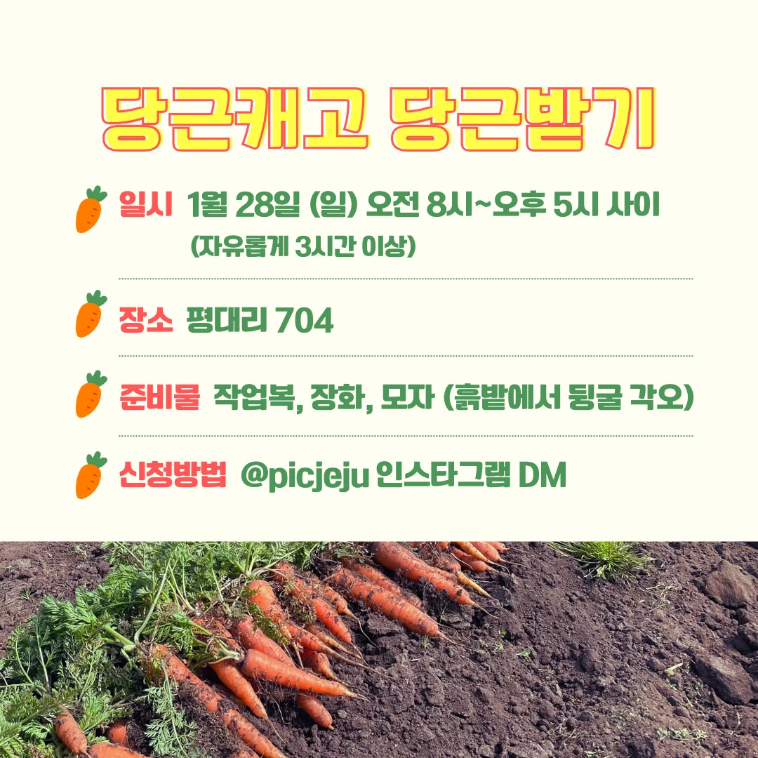 마감 _ [밭일] 평대리 유기농 당근밭으로! 이미지 2