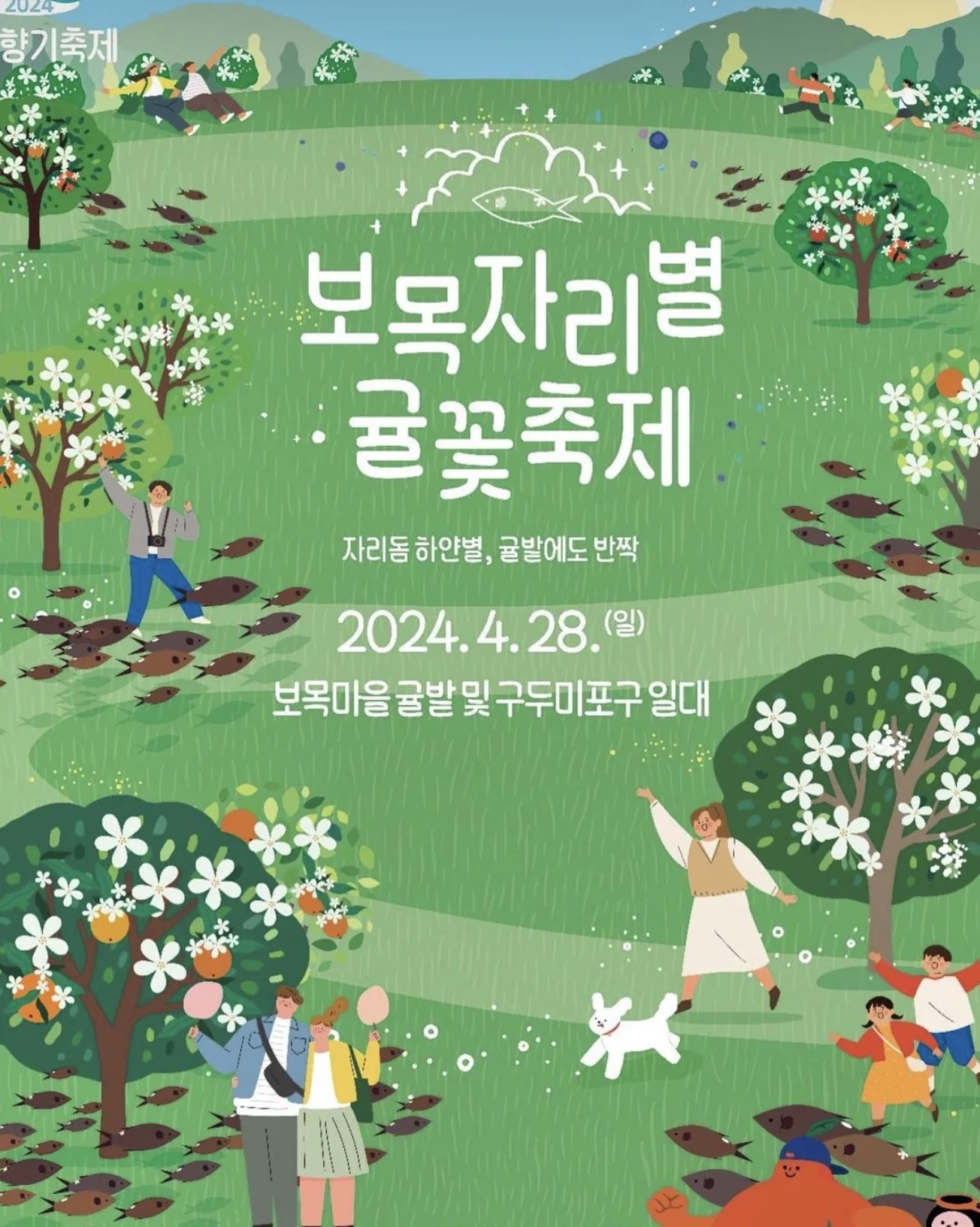 보목자리별귤꽃축제