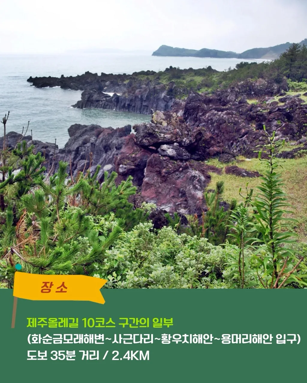 [초록길벗] 제주 해설 여행 <제주 한 잔 하러 올레?!> 이미지 2
