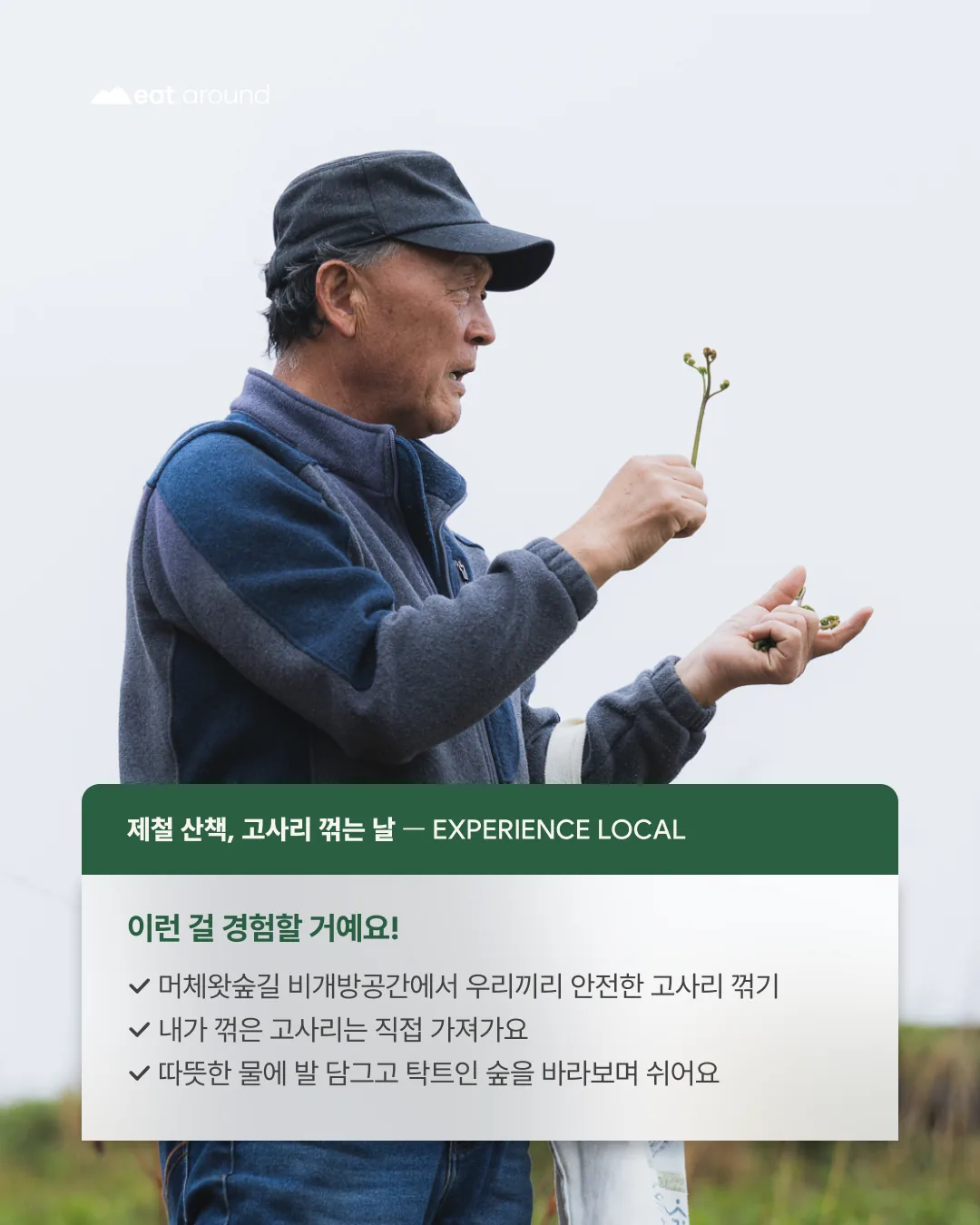 제철산책 | 고사리 꺾는 날! 이미지 4
