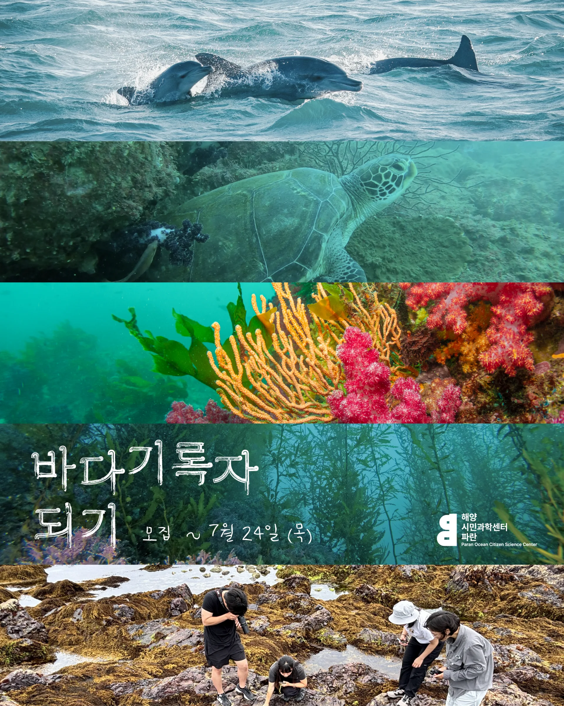 2025 해양시민학교 <바다기록자 되기> 모집 (~7/24까지) 이미지 1