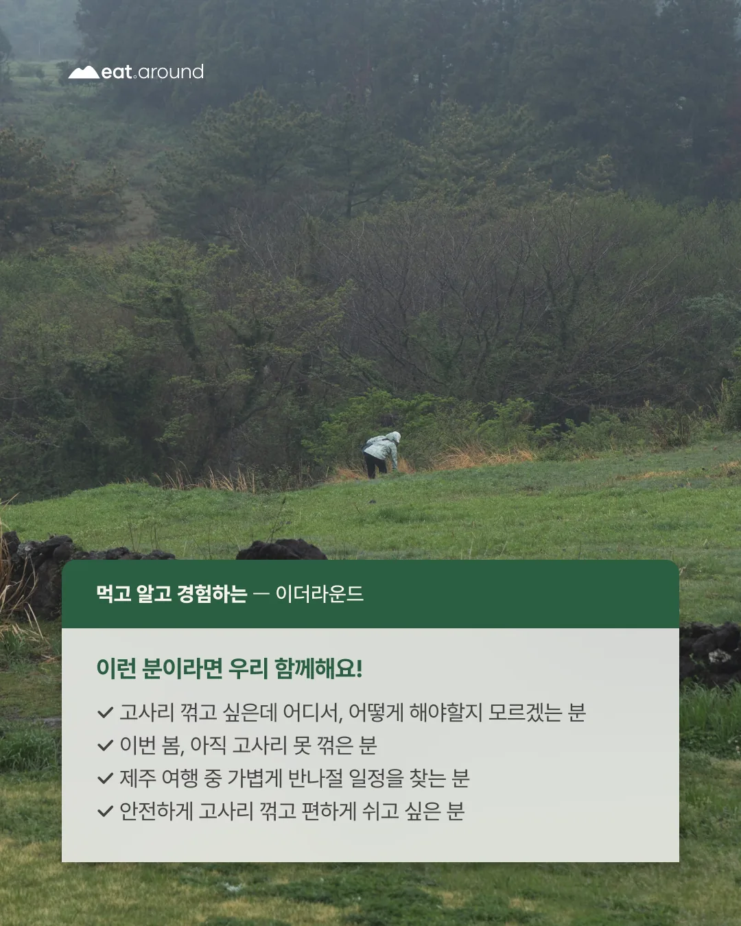 제철산책 | 고사리 꺾는 날! 이미지 3