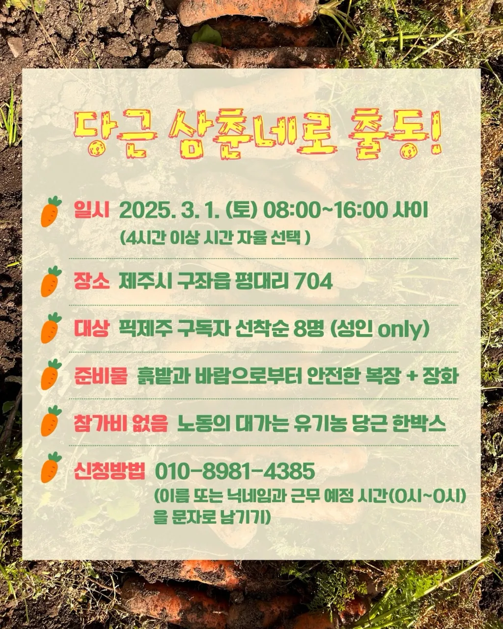 구좌 당근 삼춘네로  출동! 이미지 4