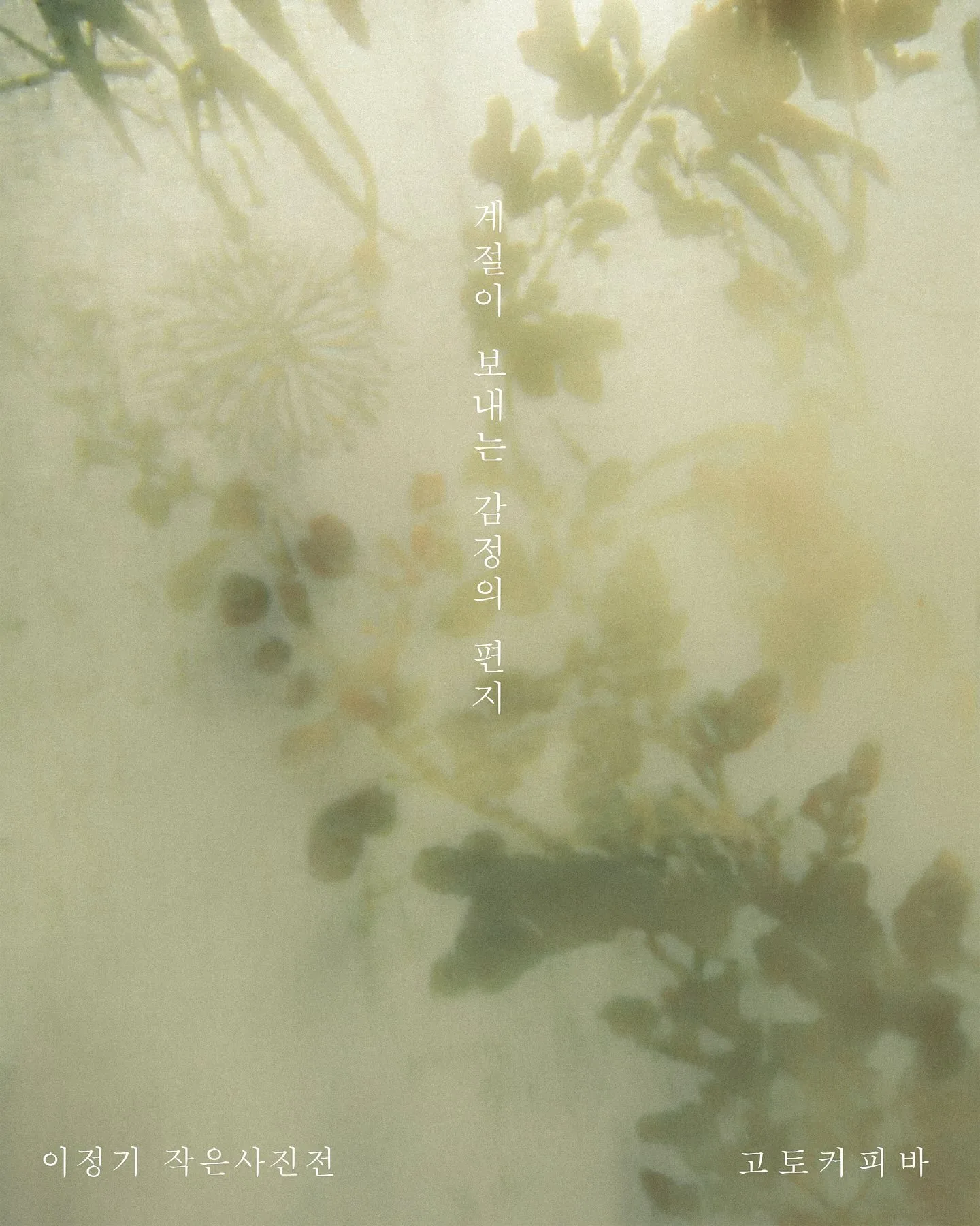 이정기 사진전 <계절이 보내는 감정의 편지>