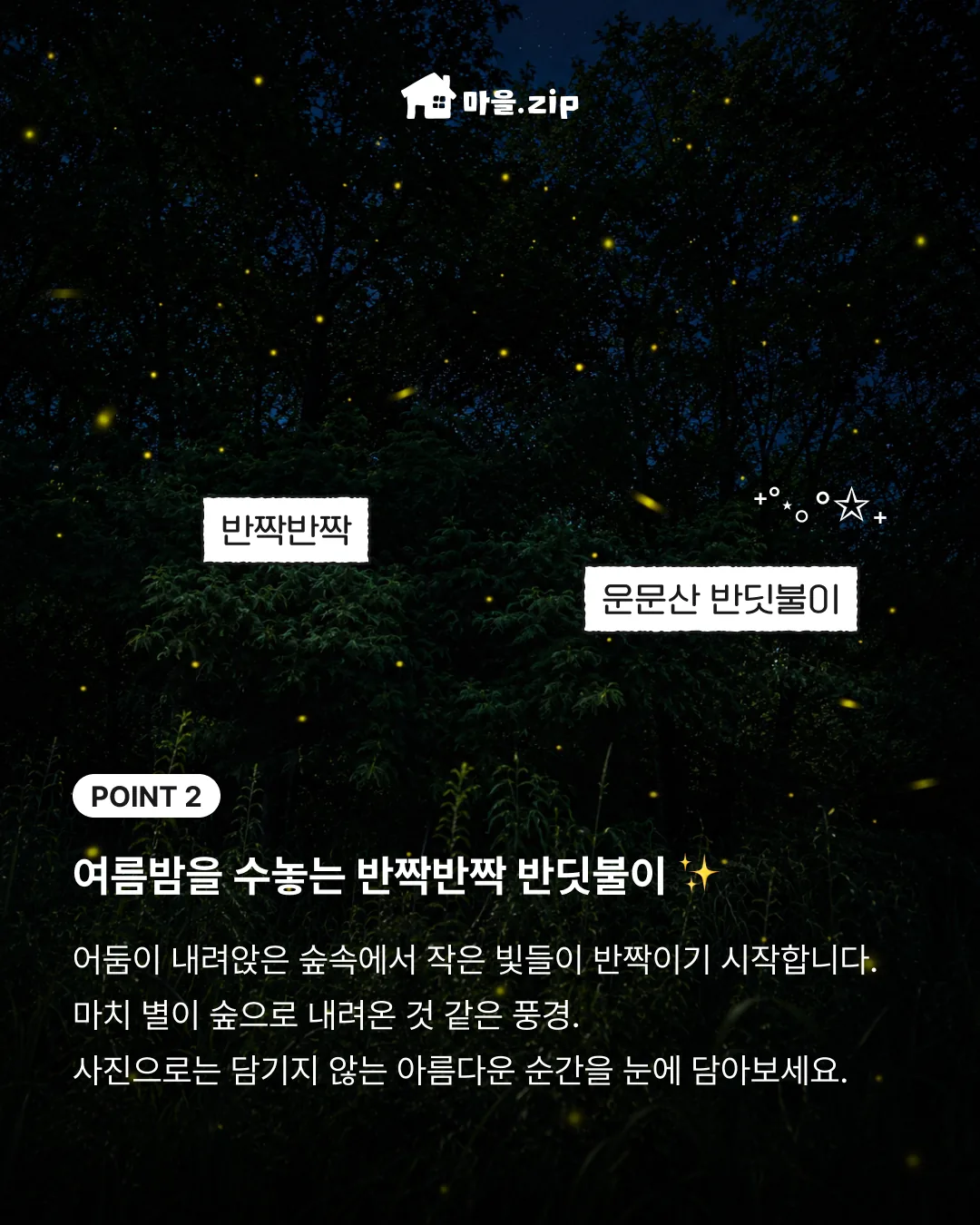 저지리 반딧불이 탐험대 이미지 3