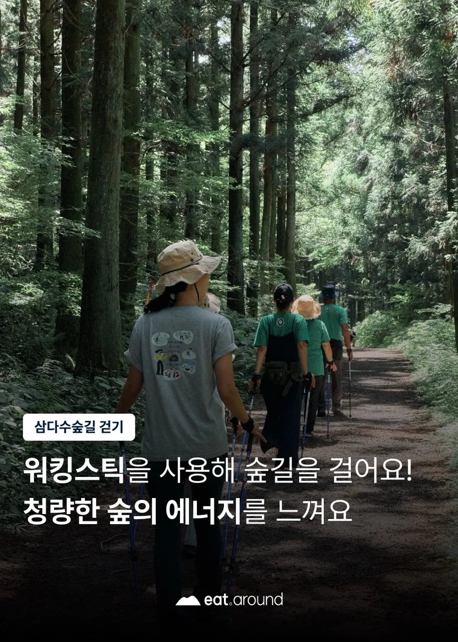 삼다수숲길 노르딕워킹 여행 (무료) 이미지 2