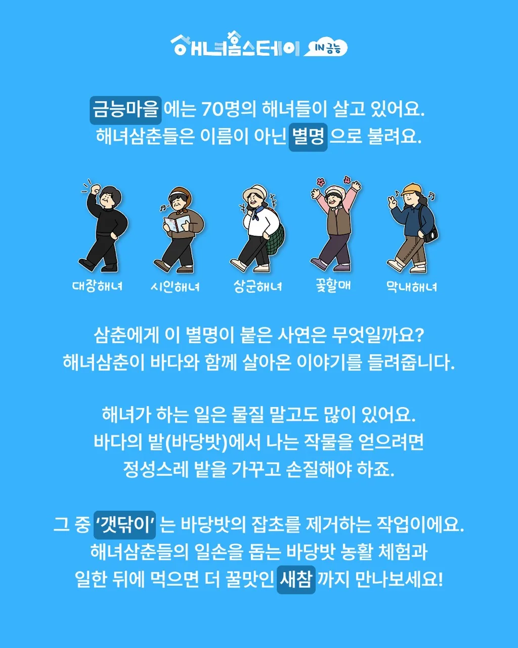 해녀 홈스테이 in 금능 체험단 모집 (무료) 이미지 3