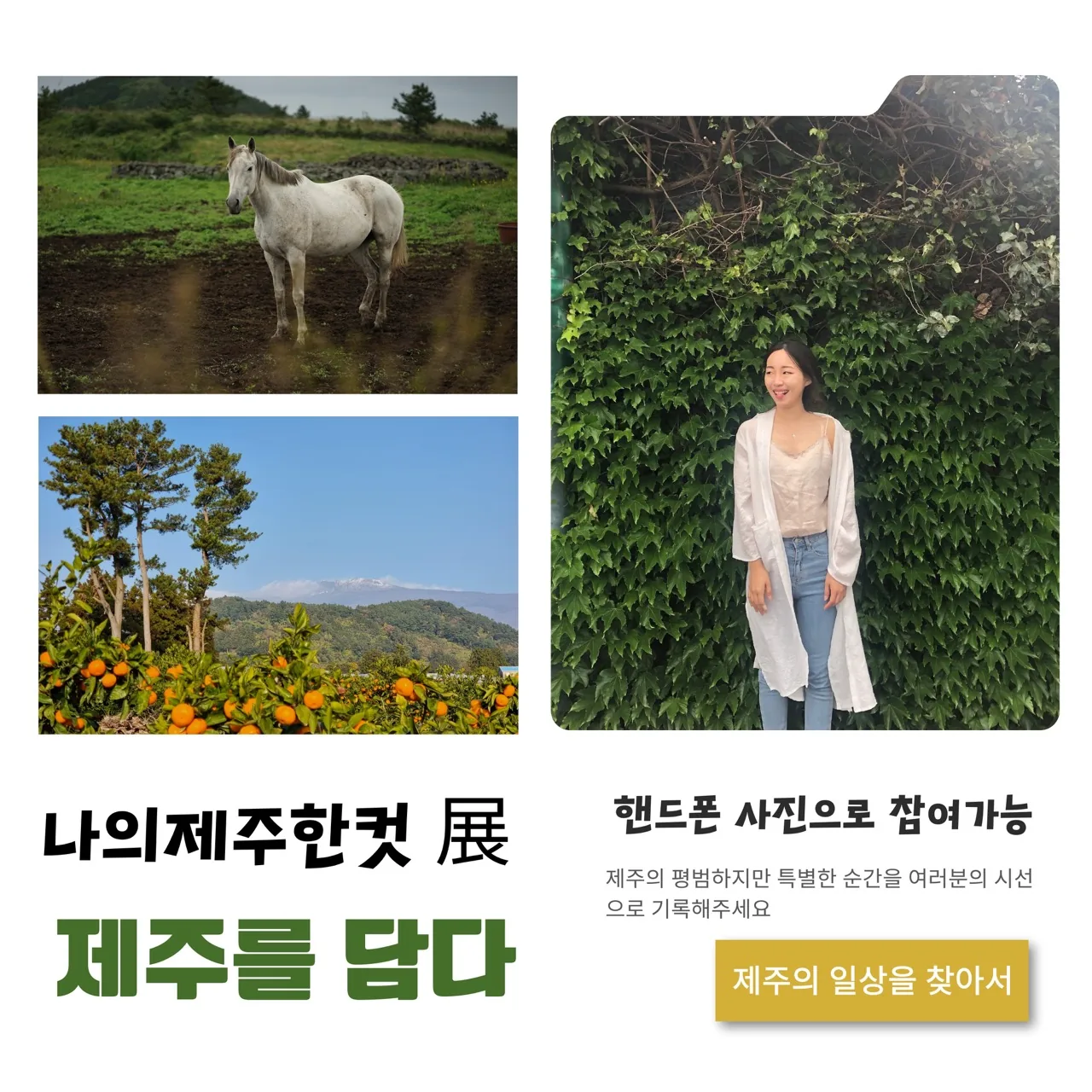알제이 제주 로컬체험 페스티벌 <제주를담다> 이미지 3
