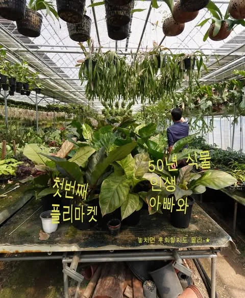 파인드미인아지트 식물 플리마켓